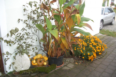 Landesentscheid09_37